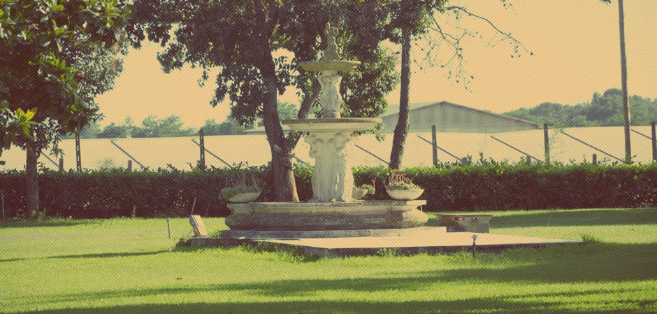 Uno scorcio degli spazi verdi