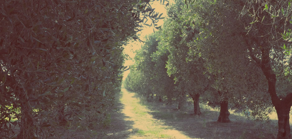 La natura come parte della quotidianità